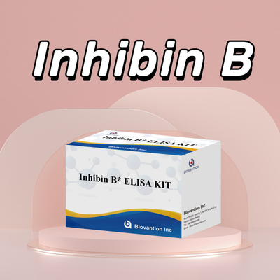 Biovantion Inhibin B Elisa Test Kit pour le diagnostic chez l' homme avec 96T
