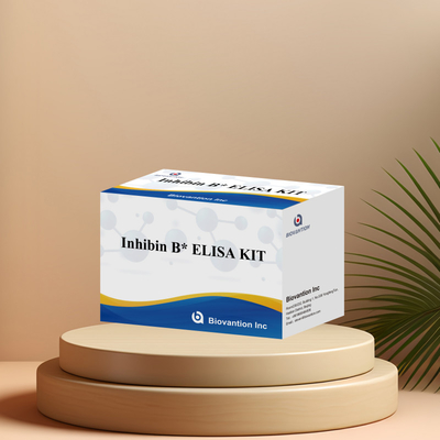 Biovantion Inhibin B Elisa Test Kit pour le diagnostic chez l' homme avec 96T