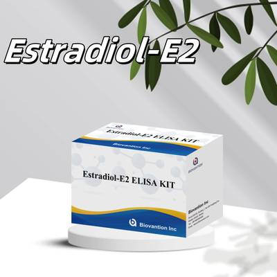 Biovantion Test Kit de test quantitatif d'estradiol à plaque de 96 puits pour les échantillons de sérum avec sensibilité accrue