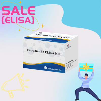 Biovantion Test Kit de test quantitatif d'estradiol à plaque de 96 puits pour les échantillons de sérum avec sensibilité accrue