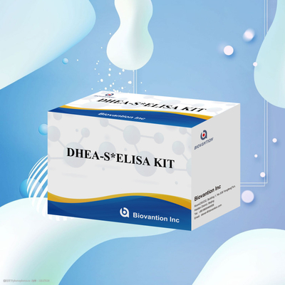 Test de biovantion déhydroépiandrosteronesulfate DHEA-S Kit de test Elisa sensible