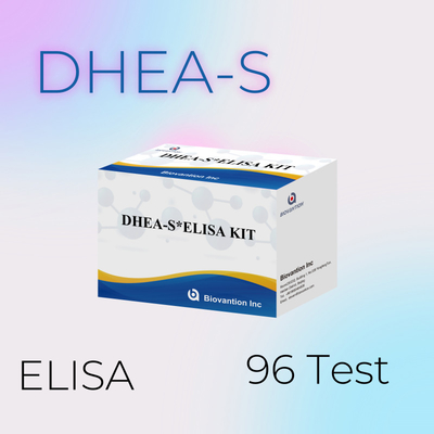 Test de biovantion déhydroépiandrosteronesulfate DHEA-S Kit de test Elisa sensible
