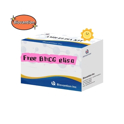 Serum de la trousse de test de l'Elisa gratuite de la BHCG entreposage 2-8.C Durée de conservation à dix-huit mois