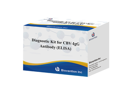 Kit de diagnostic pour le test ELISA des anticorps CBV-IgG