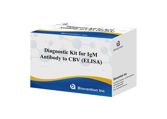 Kit de diagnostic pour l'anticorps IgM contre le VBC Kit de test Elisa 50 μL sérum Diagnostic médical