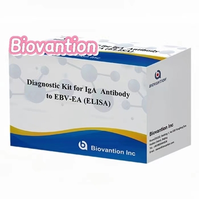 Kit de test EBV-EA Elisa Kit de diagnostic pour les anticorps IgA à haute précision