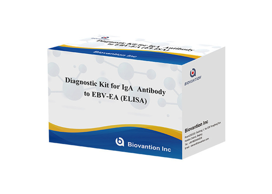 Kit de test EBV-EA Elisa Kit de diagnostic pour les anticorps IgA à haute précision