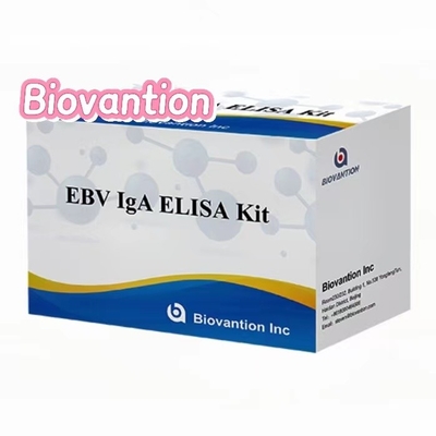 Anticorps IgA contre EBNA1 Elisa Test Kit Sérum 50μL Format du kit de prélèvement
