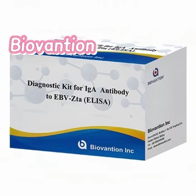 Kit de diagnostic pour les anticorps IgA contre l'EBV-Zta ELISA TEST KIT Kit de test pour l'immunosorbent