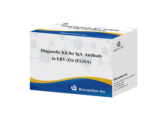 Kit de diagnostic pour les anticorps IgA contre l'EBV-Zta ELISA TEST KIT Kit de test pour l'immunosorbent