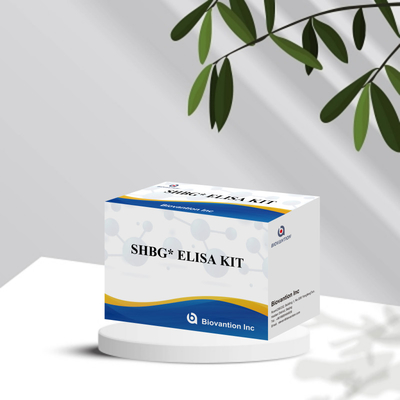 Kit de test Elisa sensible au test SHBG de Biovantion