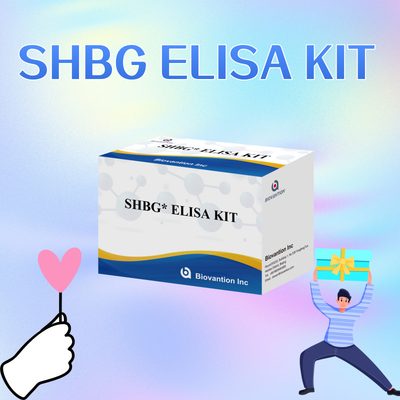 Kit de test Elisa sensible au test SHBG de Biovantion