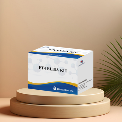 FT4 Test de dépistage de l'immunosorbent lié aux enzymes pour le diagnostic médical à haute spécificité