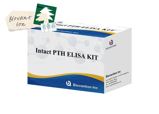Kit de test ELISA de mesure PTH 96 intact pour les échantillons de plasma avec une durée d'analyse d'une heure