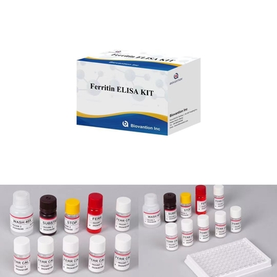 Ferritin IVD Elisa Conservateur animal pour les échantillons de plasma sérique
