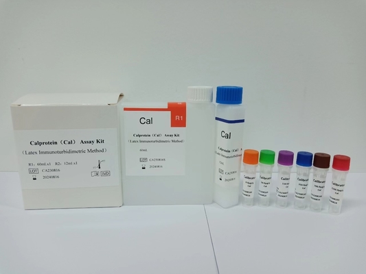 CalProtein 18 mois de durée de conservation Serum / Plasma Elisa Test Kit Pour analyse en laboratoire clinique