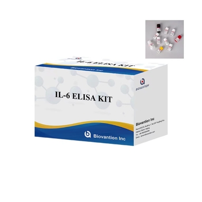 IL 6 Kit d'essai Elisa 1 heure de temps d'essai 96 tests Kit d'essai ELISA pour utilisation en laboratoire IVD