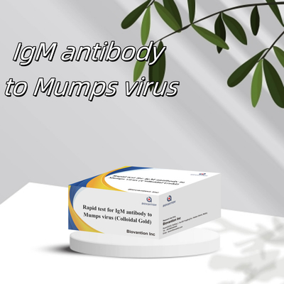 Test rapide et précis d'anticorps IgM contre le virus de la mumps en format cassette/bande pour les résultats