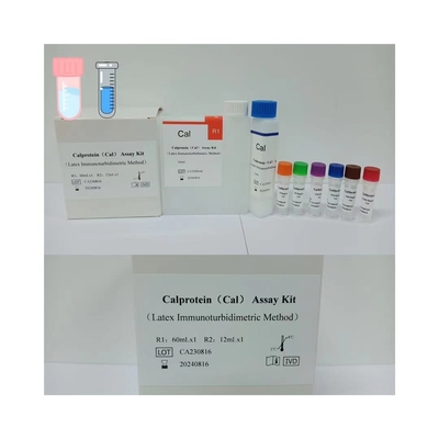 Kit de détermination quantitative de la protection par calcium Échantillon ELISA au format 50 μL