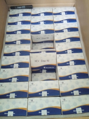 Kit de test HCV ELISA Especimens en masse sans réactivité croisée pour des tests précis