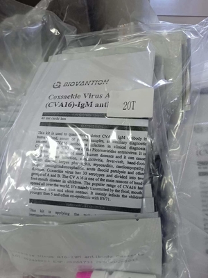 Virus de Coxsackie A16 CVA16-IgM Anticorps cassette de test rapide sérum tests rapides professionnel