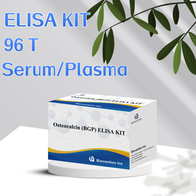 Kit de détection de l'ostéocalcine BGP chez l'homme Réactif de détection du plasma sérique humain