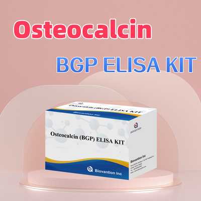 Kit de détection de l'ostéocalcine BGP chez l'homme Réactif de détection du plasma sérique humain