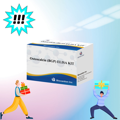 Kit de détection de l'ostéocalcine BGP chez l'homme Réactif de détection du plasma sérique humain
