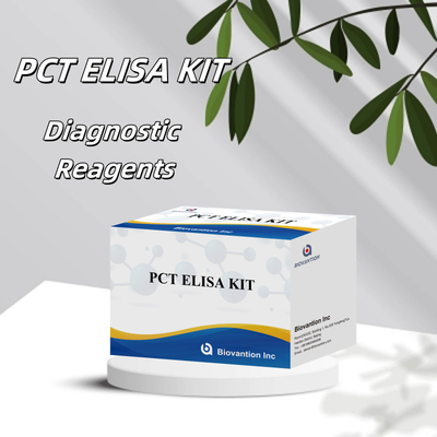 Kit de détection pour PCT pour réactif de détection humain pour plasma sérique humain