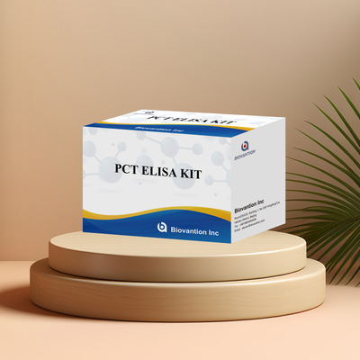 Kit de détection pour PCT pour réactif de détection humain pour plasma sérique humain