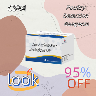 Kit de détection pour le CSFV Anticorps de la peste porcine classique pour le réactif de détection des animaux 192T