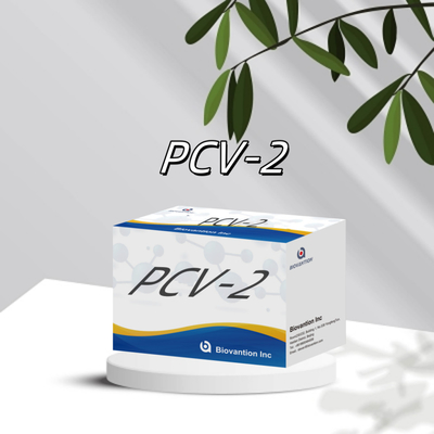 Test ELISA WB/S/P PCV-2 pour les réactifs vétérinaires d'anticorps animaux