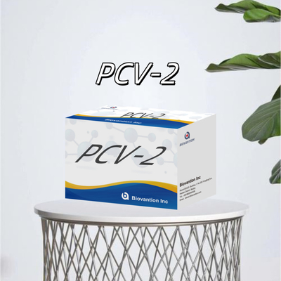 Test ELISA WB/S/P PCV-2 pour les réactifs vétérinaires d'anticorps animaux