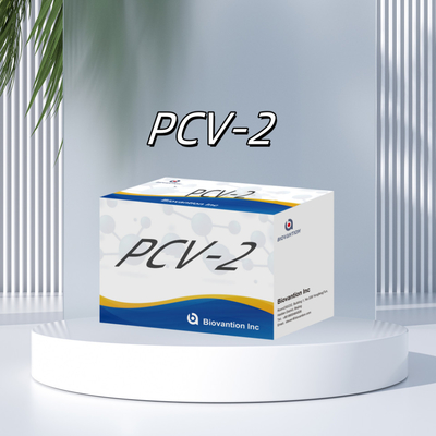 Test ELISA WB/S/P PCV-2 pour les réactifs vétérinaires d'anticorps animaux