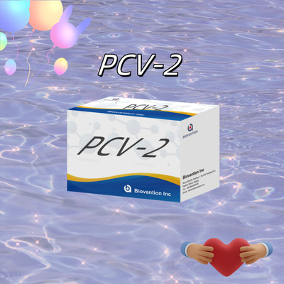 Test ELISA WB/S/P PCV-2 pour les réactifs vétérinaires d'anticorps animaux