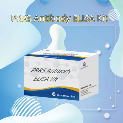 Test ELISA pour les anticorps du PRRSV chez l' animal Les anticorps du PRRS chez le porc