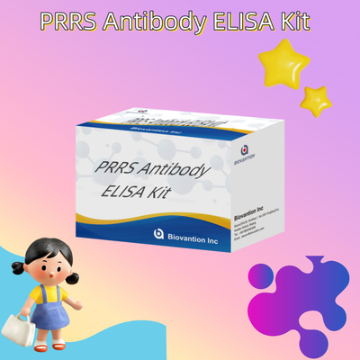 Test ELISA pour les anticorps du PRRSV chez l' animal Les anticorps du PRRS chez le porc