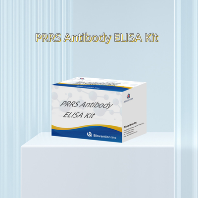 Test ELISA pour les anticorps du PRRSV chez l' animal Les anticorps du PRRS chez le porc