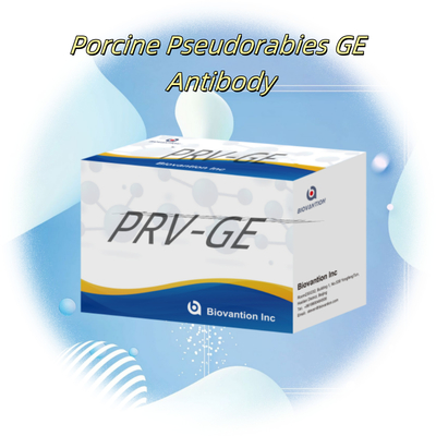 Kit de détection pour le réactif de détection des anticorps PRV-GE