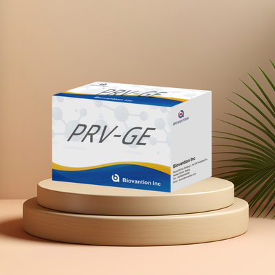 Test ELISA pour le PRV-GB chez l'animal Pseudorabies porcine GB anticorps vétérinaires