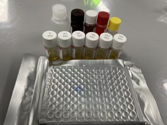 Série Bcl-2 chez le rat Méthode ELISA Type d'échantillon Serum ELISA RUO Test Kit Avec 98% de spécificité