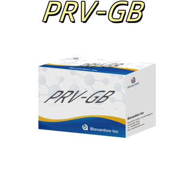 Spécificité ELISA Kit d'immunothérapie pour la détection sérologique du réactif PRV
