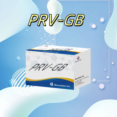 Spécificité ELISA Kit d'immunothérapie pour la détection sérologique du réactif PRV