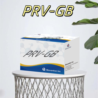 Spécificité ELISA Kit d'immunothérapie pour la détection sérologique du réactif PRV