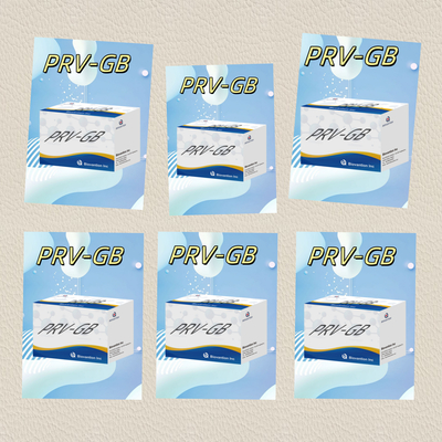 Spécificité ELISA Kit d'immunothérapie pour la détection sérologique du réactif PRV