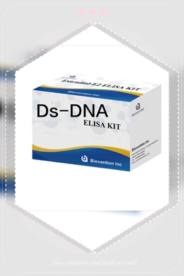 Anti-Ds-ADN IgG ELISA Kit de test anti-ADN à double chaîne qualitatif