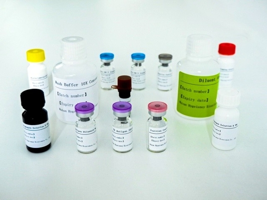 Kit de test Elisa pour une détection rapide et facile de la tuberculose