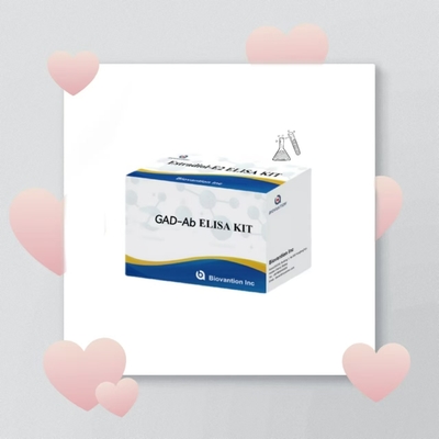 Kit de test GAD-Ab ELISA Anticorps à l'acide glutamique décarboxylase Immunosorbent