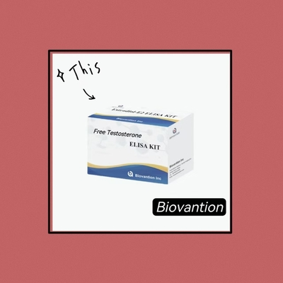 Testostérone libre Tests ELISA gratuits Kit de test compétitif - principe ELISA