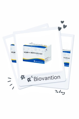 VCAM-1 RUO Elisa Kit Molecule d'adhésion des cellules endothéliales vasculaires humaines 1